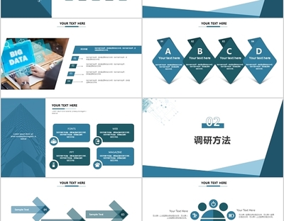 商務(wù)含信息圖表調(diào)研報(bào)告匯報(bào)PPT模板